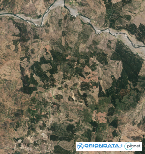 2017-01-20 incendios forestales constitucion