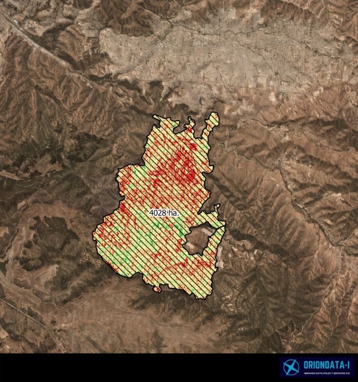 Oriondata Internacional Incencio 15 de Enero 2021 Quilpué Reserva Nacional Peñuelas 4