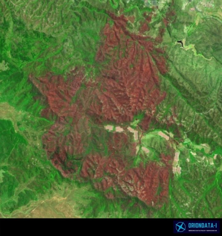 Oriondata Internacional Incencio 15 de Enero 2021 Quilpué Reserva Nacional Peñuelas 7