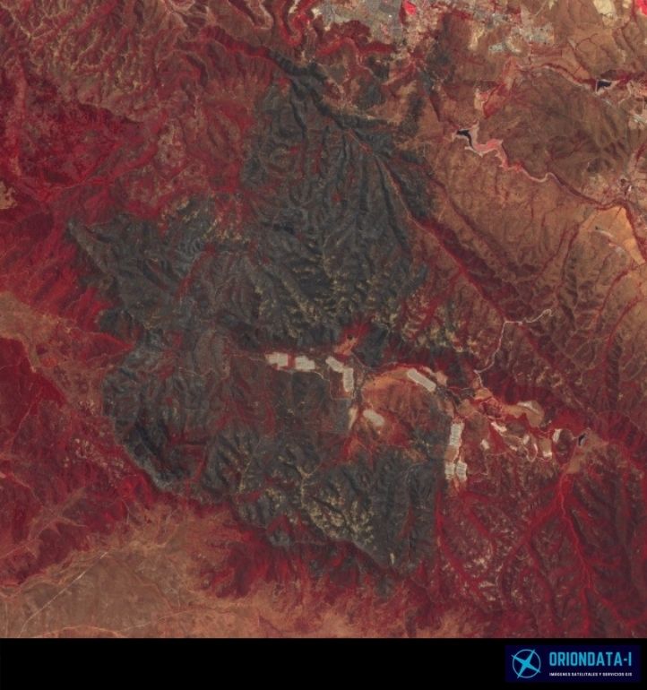 Oriondata Internacional Incencio 15 de Enero 2021 Quilpué Reserva Nacional Peñuelas 8